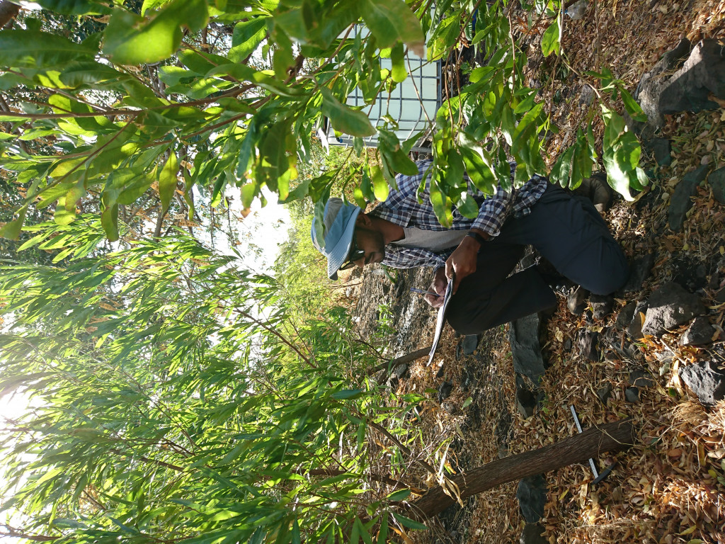 Erwin doing tree surveys 
